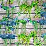 ホテル イビス バジェット パリ ポルト ドゥ 2*